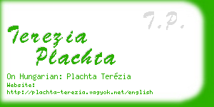 terezia plachta business card